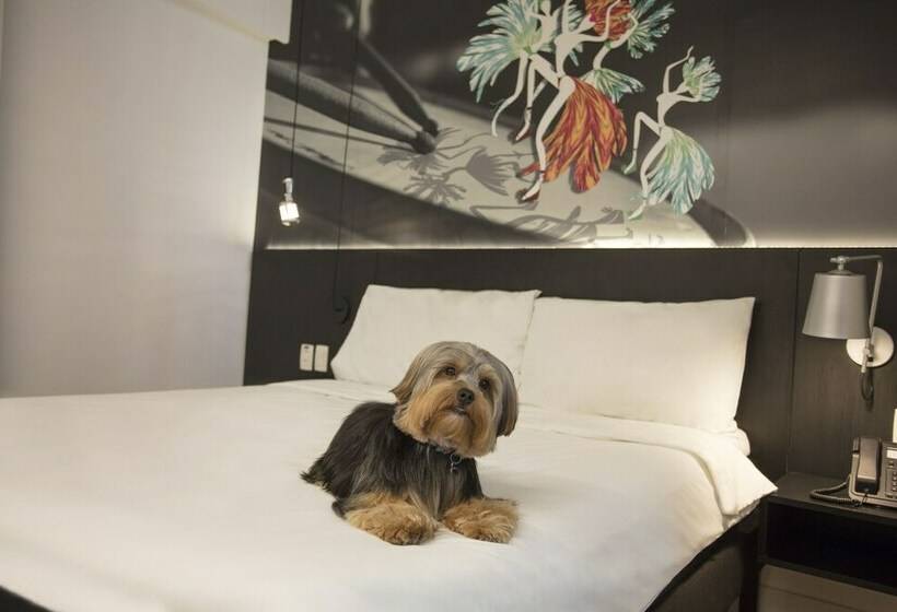 Семейный Номер, Ibis Styles Taubate