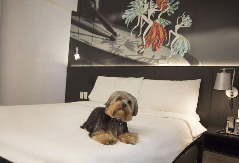 Chambre Familiale, Ibis Styles Taubate