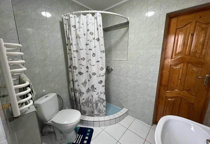 اتاق استاندارد, Oskolok Dovbusha Mini