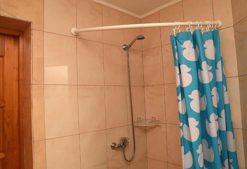 اتاق استاندارد, Oskolok Dovbusha Mini