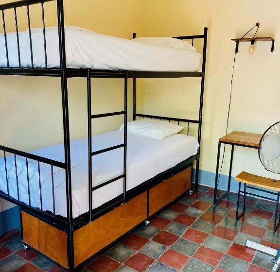 스탠다드 룸, Hostal La Tortuga Booluda