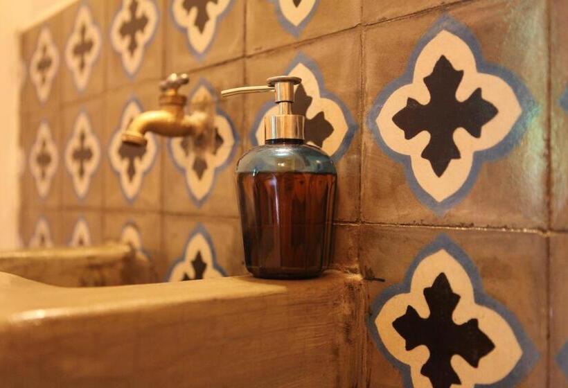 이코노미 룸, Hostal La Tortuga Booluda