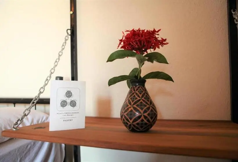 اتاق اکونومی, Hostal La Tortuga Booluda