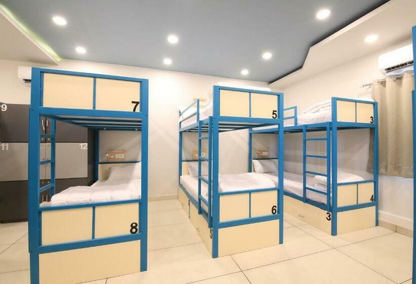 共用房间的床, Blue Beds Hostel