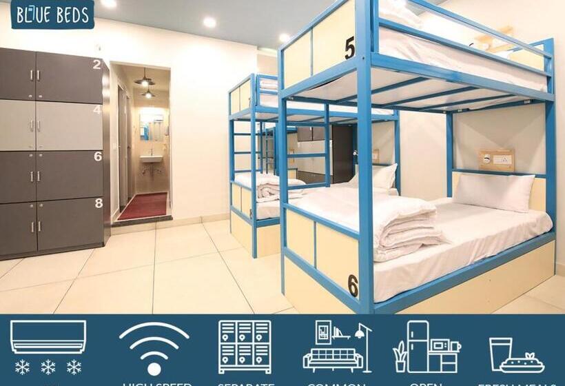 Кровать в Общей Комнате, Blue Beds Hostel