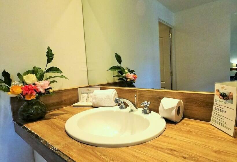 اتاق سوپریور سه تخته, Usgar San Pedro Boutique