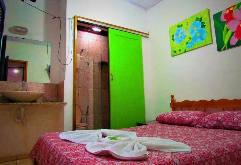 标准间, Aracy Paraty