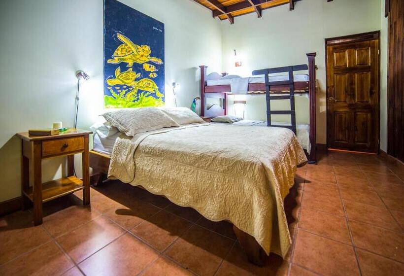 １ベッドルームペントハウスアパート, Villas Oasis