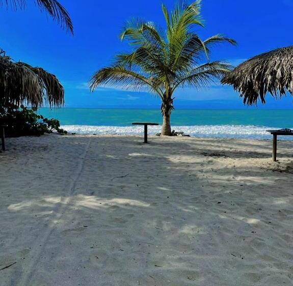 Deniz Manzaralı Delüks Oda, Cabanas Las Estrellas