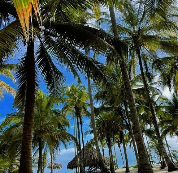 Deniz Manzaralı Delüks Oda, Cabanas Las Estrellas