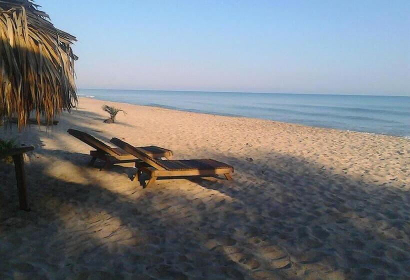 Deniz Manzaralı Delüks Oda, Cabanas Las Estrellas