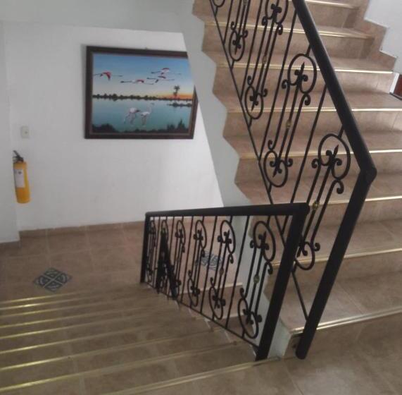 StandaardKamer, Davinci Calarca