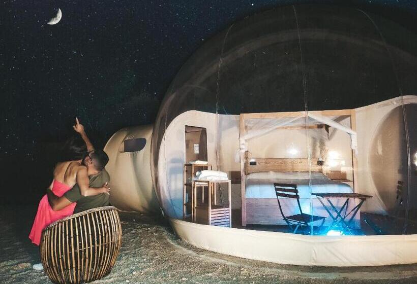 Номер Стандарт, Zielo Las Beatas