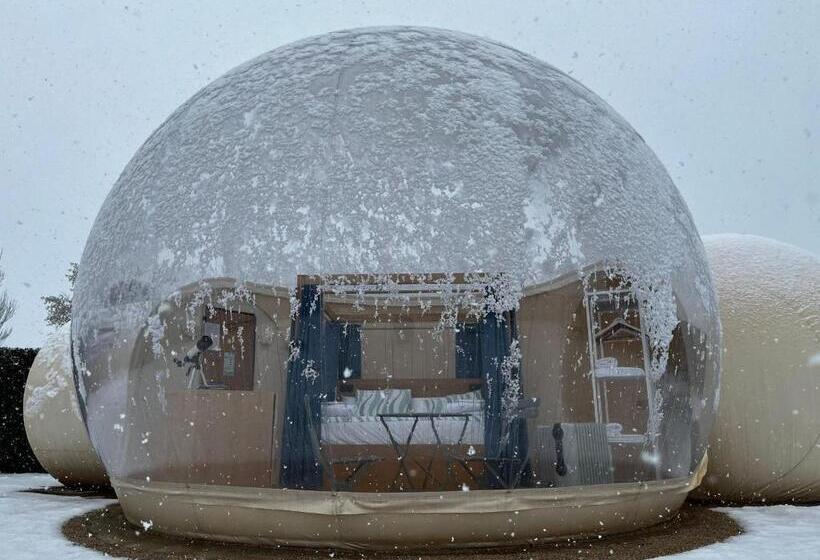 スタンダードルーム, Zielo Las Beatas