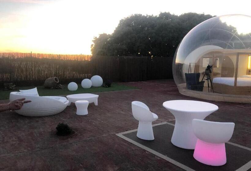 スタンダードルーム, Zielo Las Beatas