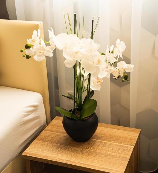 デラックスルーム, Diament Ruda śląska