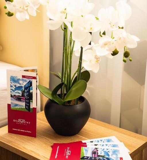 １ベッドルームのデラックスアパートメント, Diament Ruda śląska