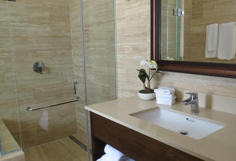 2ベッドスイートルーム, Paseo Suites El Valle, Luxury Apartments