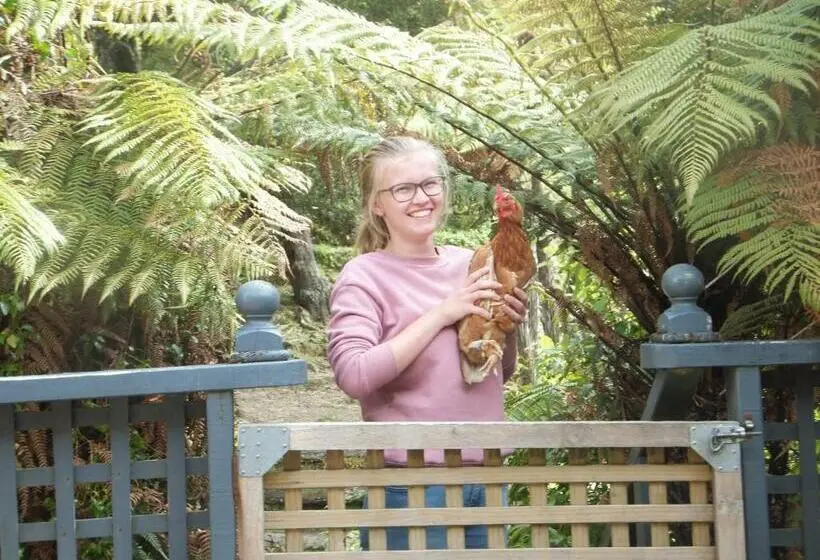 Perhestudio, Little Paradise & Petting Farm