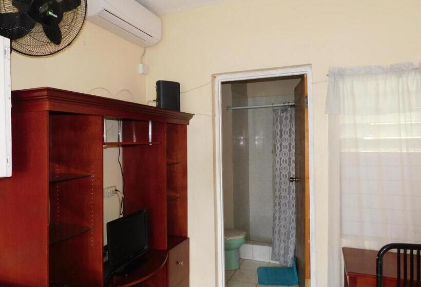 استودیو استاندارد با تراس, Dancehall Hostel