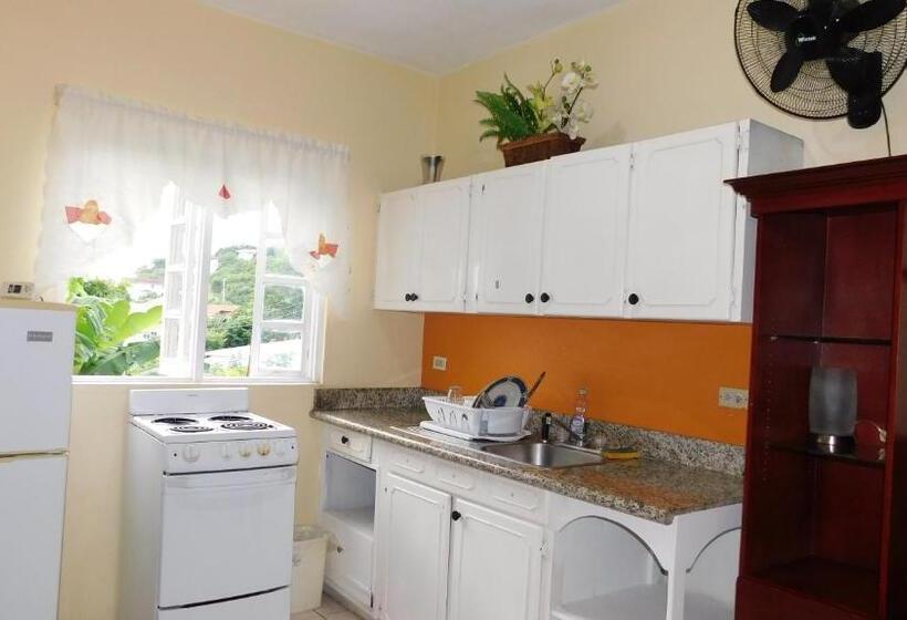 استودیو استاندارد با تراس, Dancehall Hostel