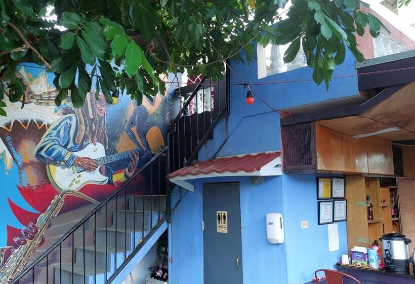 اتاق لوکس, Dancehall Hostel