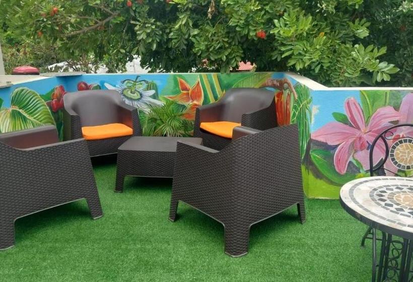 اتاق استاندارد با سرویس بهداشتی مشترک, Dancehall Hostel