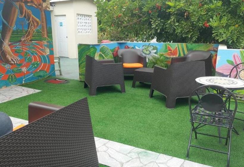 تختخواب در اتاق مشترک, Dancehall Hostel