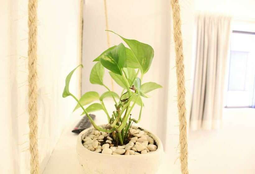 エコノミールーム, Nicte Ha Tulum