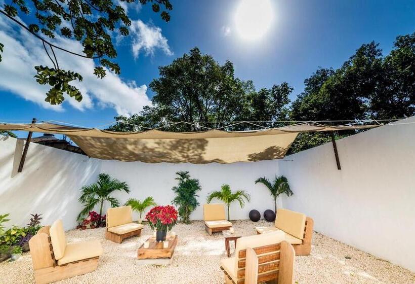 エコノミールーム, Nicte Ha Tulum