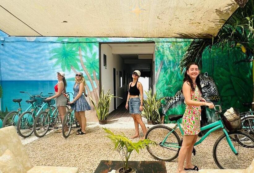 エコノミールーム, Nicte Ha Tulum