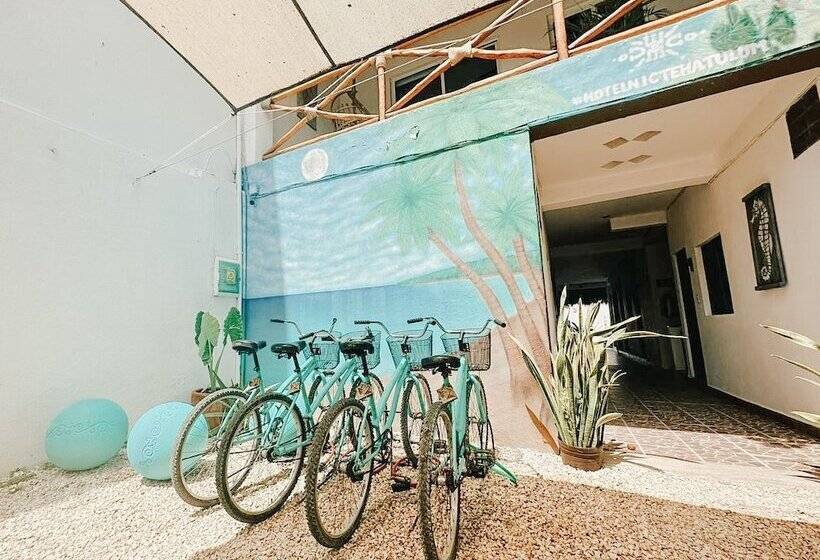 エコノミールーム, Nicte Ha Tulum