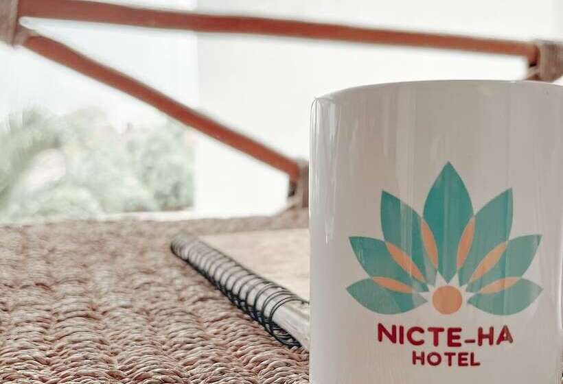 エコノミールーム, Nicte Ha Tulum