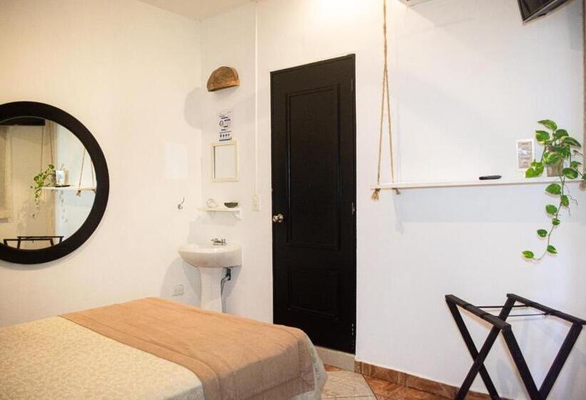 エコノミールーム, Nicte Ha Tulum