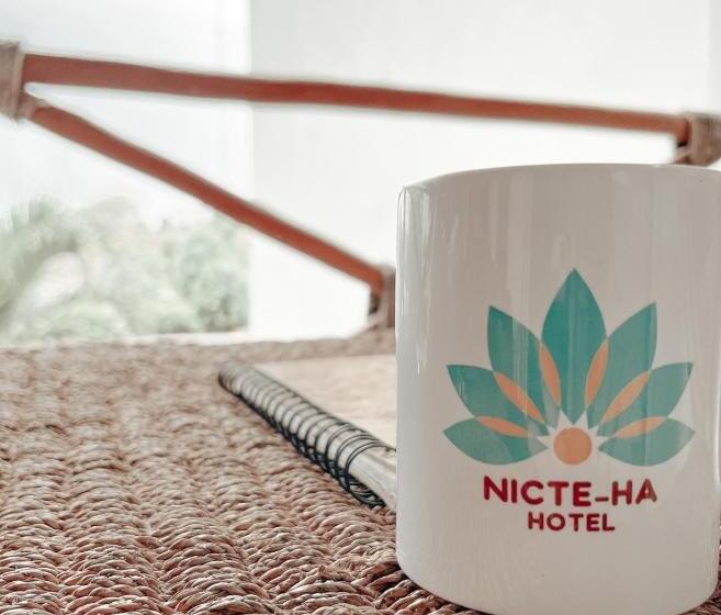 エコノミールーム, Nicte Ha Tulum