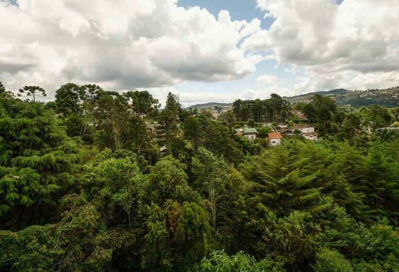 스탠다드 자쿠지 룸, Pousada Cafe Poesia