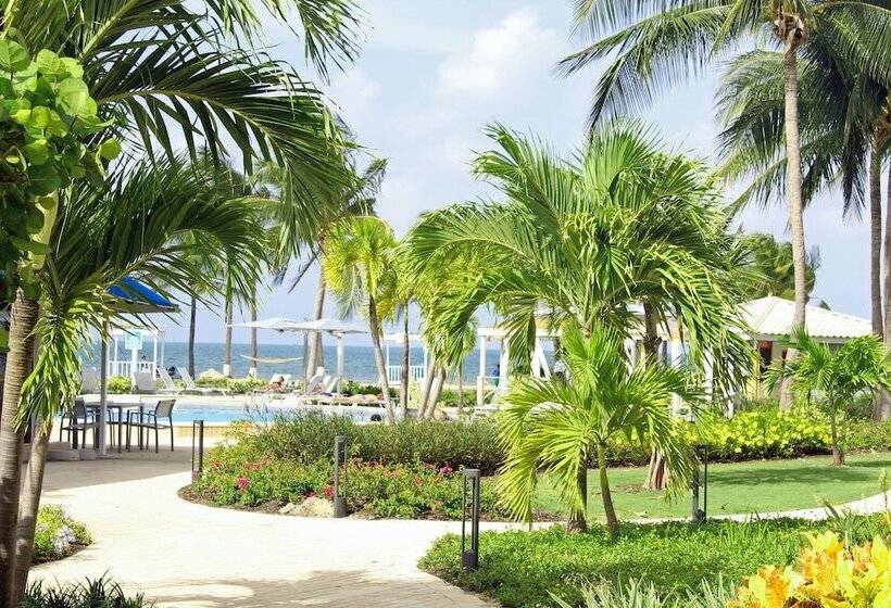 استودیوی استاندارد با تخت دو نفره بزرگ, The Grand Caymanian Resort