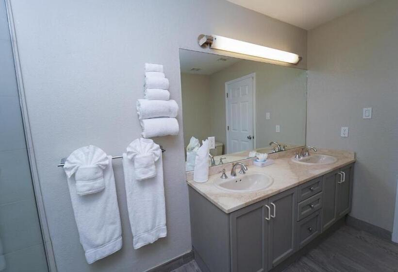 سوئیت با تخت بزرگ, The Grand Caymanian Resort