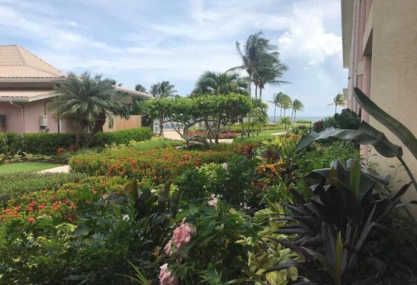 سوئیت با تخت بزرگ, The Grand Caymanian Resort