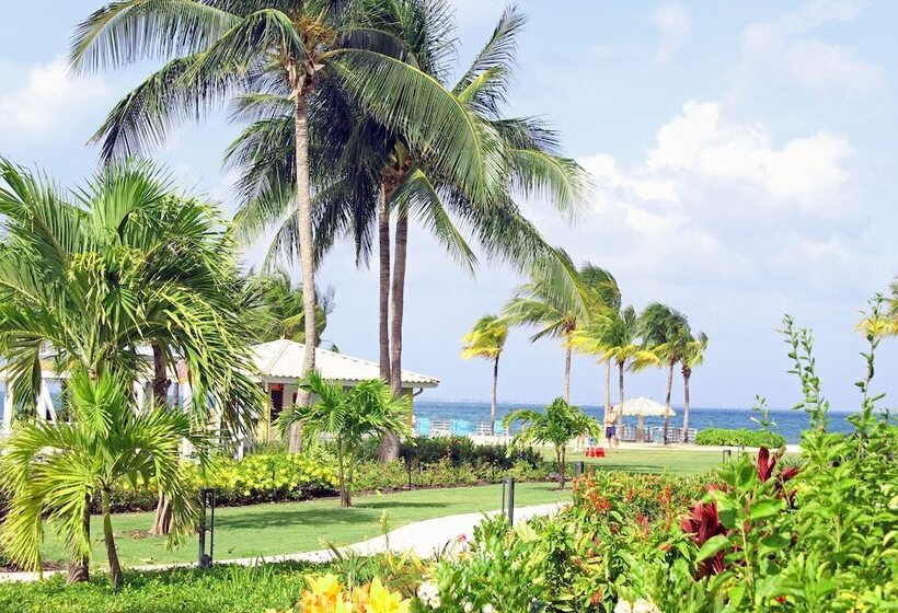 استودیوی استاندارد با تخت دو نفره بزرگ, The Grand Caymanian Resort