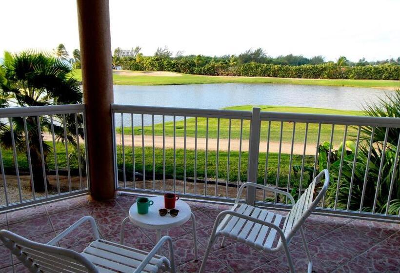 سوئیت با تخت بزرگ, The Grand Caymanian Resort
