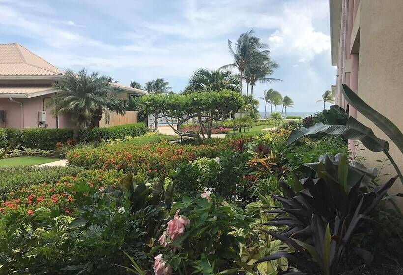 سوئیت با تخت بزرگ, The Grand Caymanian Resort