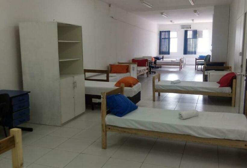 מיטה בחדר משותף, Mangue Oranje Hostel