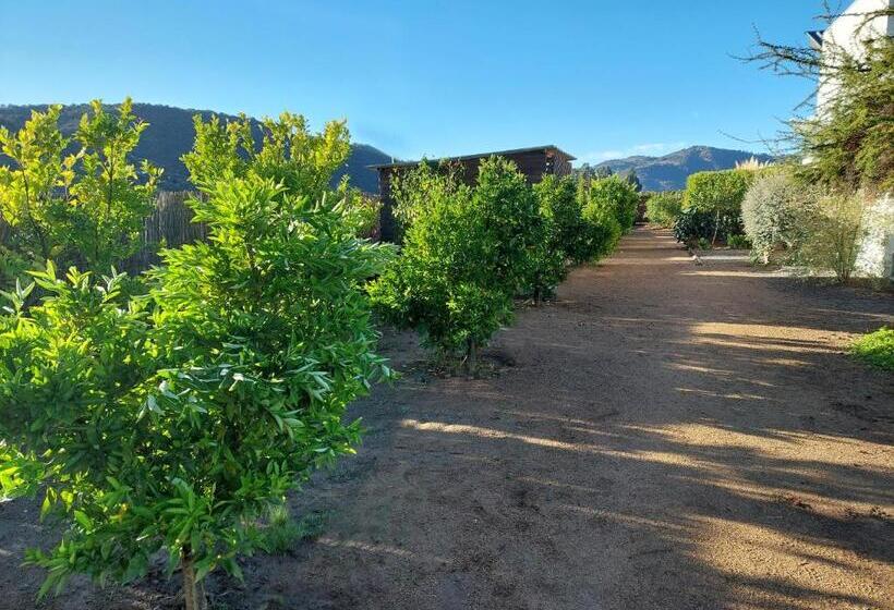 اتاق استاندارد با چشمانداز باغ, Callihue Lodge