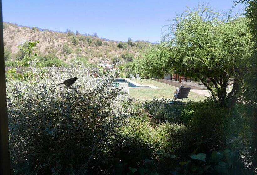 اتاق استاندارد با چشمانداز استخر, Callihue Lodge