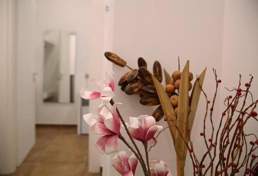 Quarto Estandar, Essence