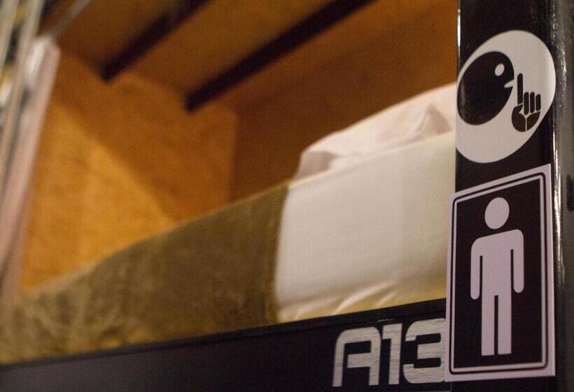 חדר סופריור יחיד, Eco Box Hostel