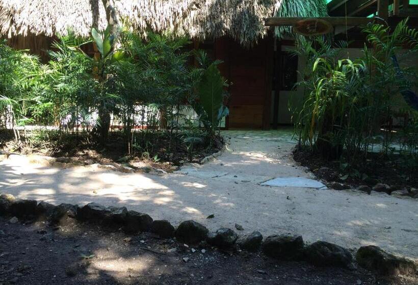 اتاق استاندارد, Posada Del Cerro