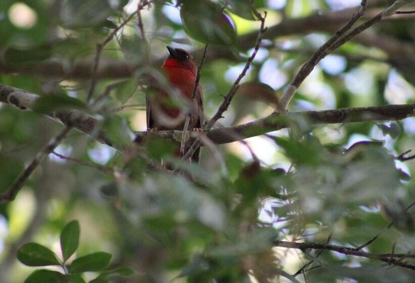 اتاق استاندارد, Posada Del Cerro