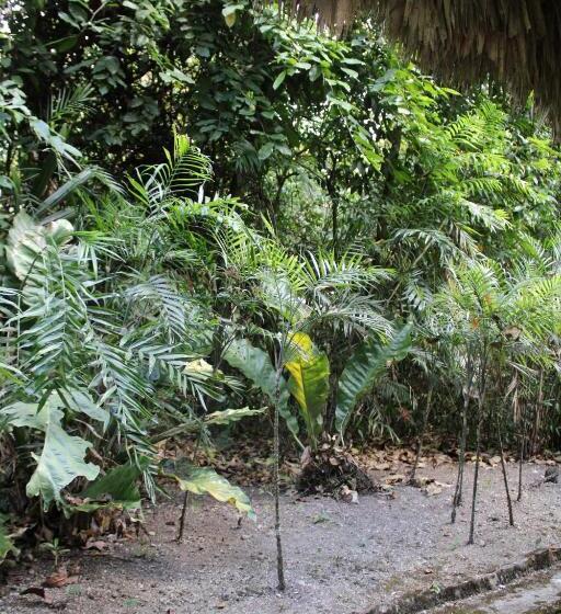 اتاق استاندارد, Posada Del Cerro